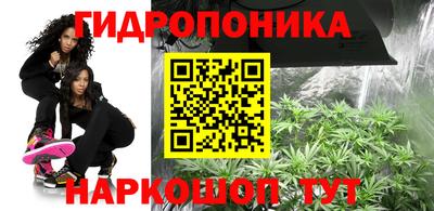 экстази Новозыбков