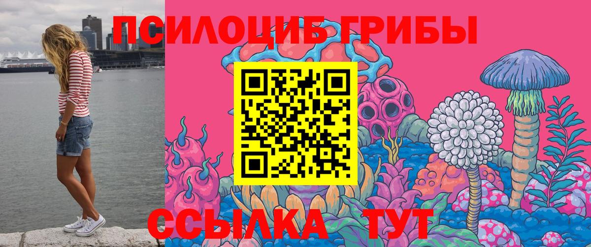 Галлюциногенные грибы GOLDEN TEACHER  Вход с VPN  Галлюциногенные грибы мухоморы  купить закладку  Киреевск 